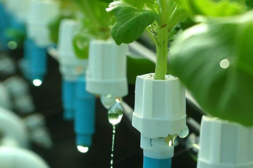 Hydroponic Drip System