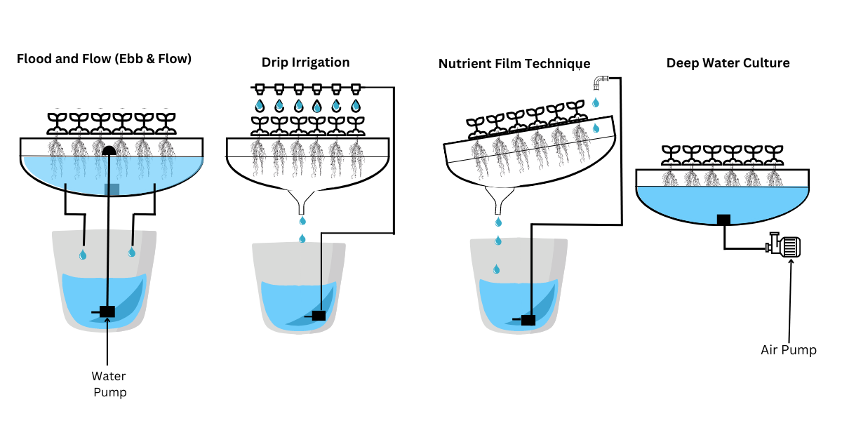 Hydroponics Diagram