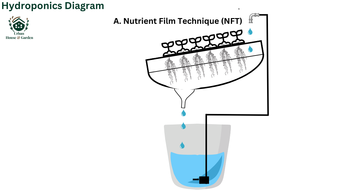 Hydroponics Diagram_ A. Nutrient Film Technique (NFT)