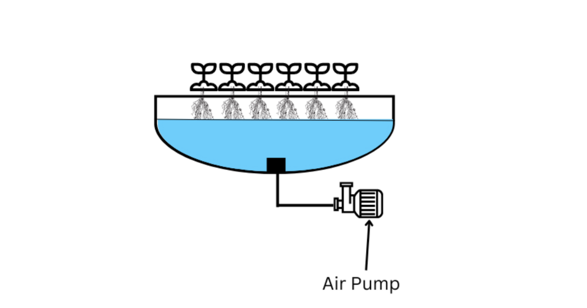 DWC Hydroponics: Hydroponics Diagram