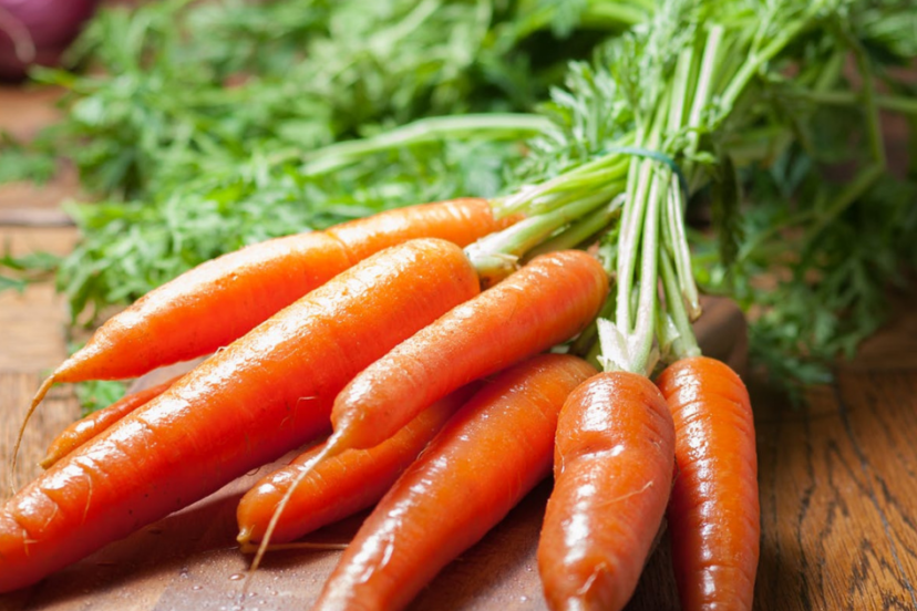 Hydroponic carrots Best System