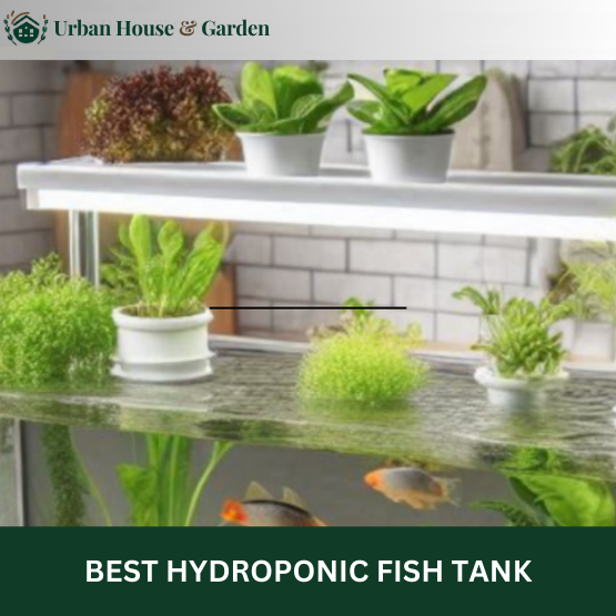 Best Hydroponic Fish Tank_Guide
